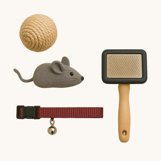 Cat Supplies