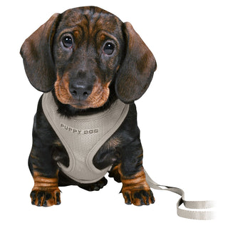 Trixie Junior Soft Harness With Leash Grey S-M view 