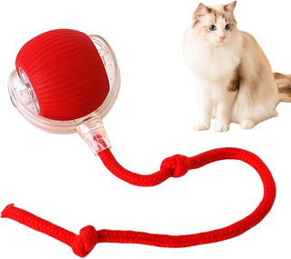 Electric Ball Toy