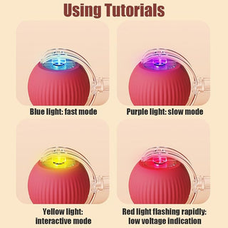Electric Ball Toy