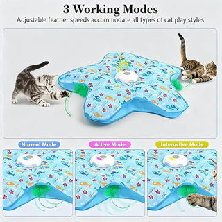 Interactive Starfish Cat Carpet Toy