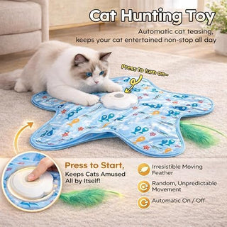 Interactive Starfish Cat Carpet Toy