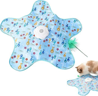 Interactive Starfish Cat Carpet Toy