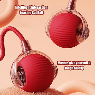 Electric Ball Toy