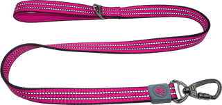 Doco Silver Reflective Mesh Leash Pink S view 
