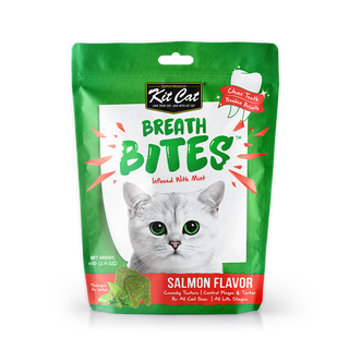 Kitcat Breathbite Salmon 60Gr view 