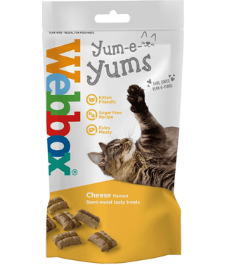 Webbox Yum E Yum Cat Cheese view 