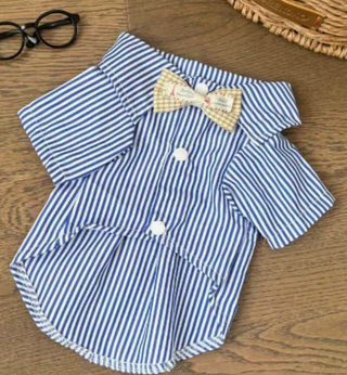 Shirt with a Tie Blue M