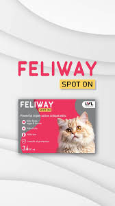 Feliway Cat Spot On 1 pc view 