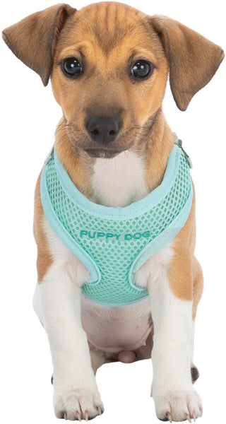 Trixie Junior Soft Harness With Leash Mint M-L view 