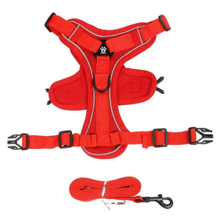 Reflective Harness + Leash Red