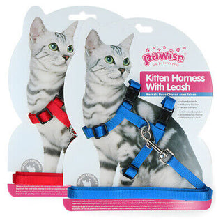 Pawise Kitten Harness With Leash Red*Blue M view 