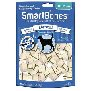 Smart Bones Dental Mini (16) view 