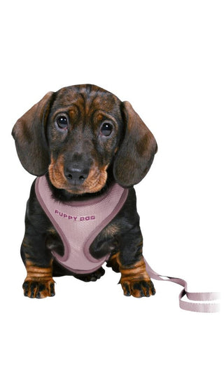 Trixie Junior Soft Harness With Leash Lilac S-M view 